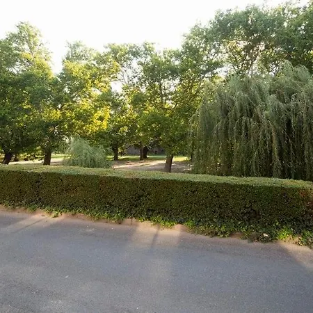 Varkeruelet 6 شقة Sárvár